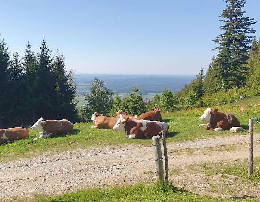 Romantisches Alpenchalet - Mit Sauna Und Kamin - Ruhig Und Zentral Bad Tölz Lägenhet