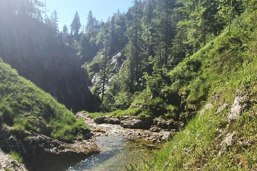 Romantisches Alpenchalet - Mit Sauna Und Kamin - Ruhig Und Zentral Bad Tölz 0*,